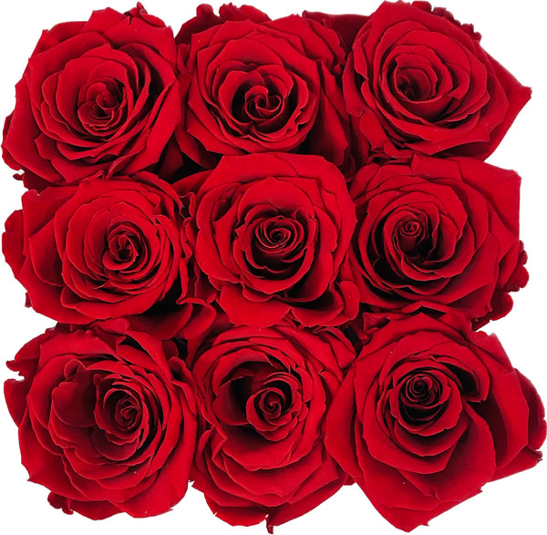 Estuche Mini Rosas Eternas