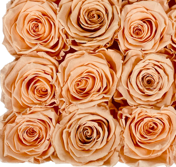 Estuche Mini Rosas Eternas