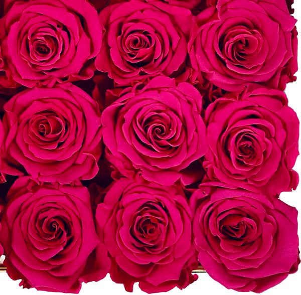 Estuche Mini Rosas Eternas