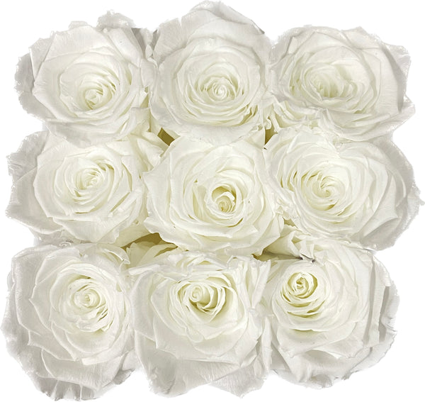 Estuche Mini Rosas Eternas