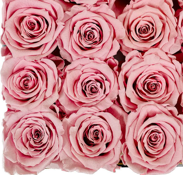 Estuche Mini Rosas Eternas