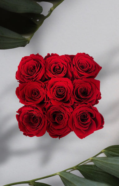 Estuche Mini Rosas Eternas