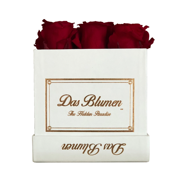 Estuche Cúbico Mini con Rosas Eternas - Das Blumen México