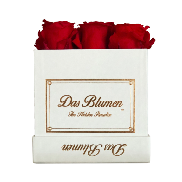 Estuche Cúbico Mini con Rosas Eternas - Das Blumen México