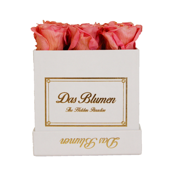 Estuche Cúbico Mini con Rosas Eternas - Das Blumen México