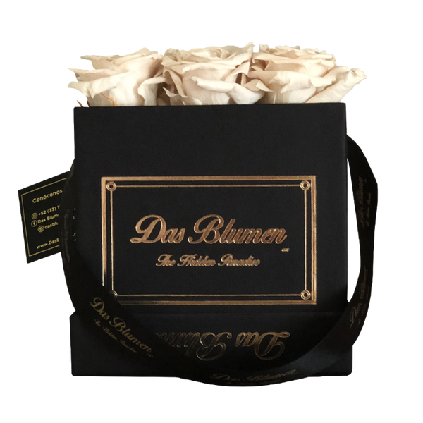 Estuche Cúbico Mini con Rosas Eternas - Das Blumen México