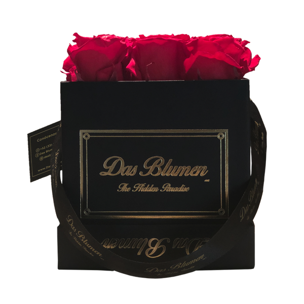 Estuche Cúbico Mini con Rosas Eternas - Das Blumen México