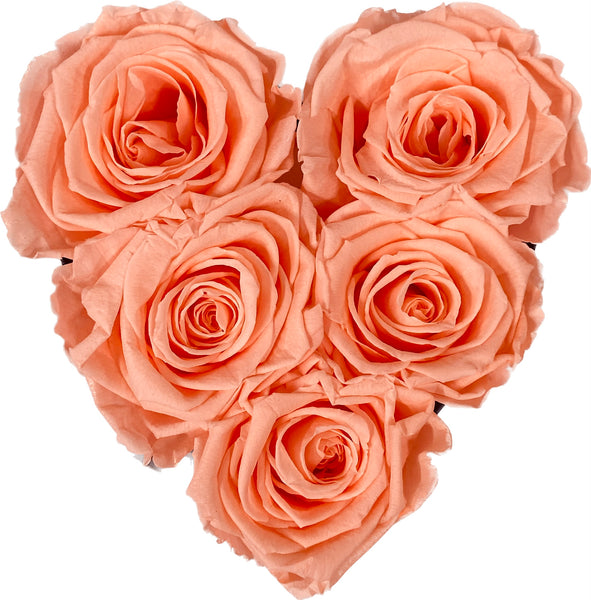 Heart Mini Eternal Roses